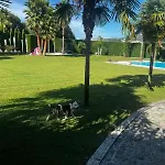 Quinta Palmeiras Villa