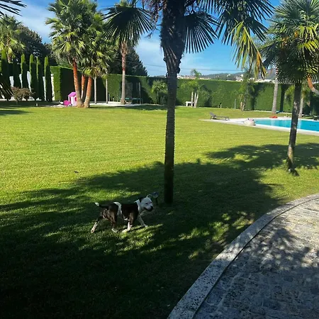 Quinta Palmeiras Villa