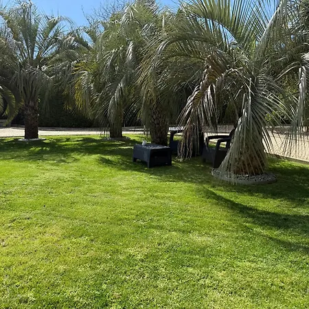 Quinta Palmeiras