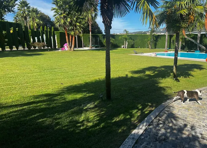 Quinta Palmeiras Valpedre