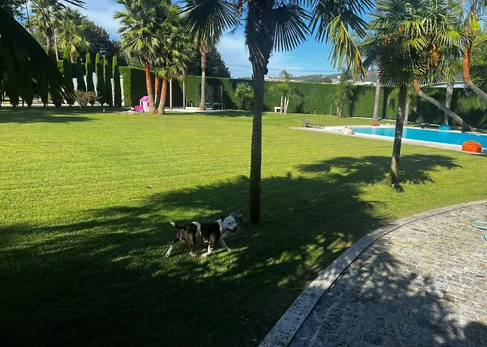 Quinta Palmeiras Villa